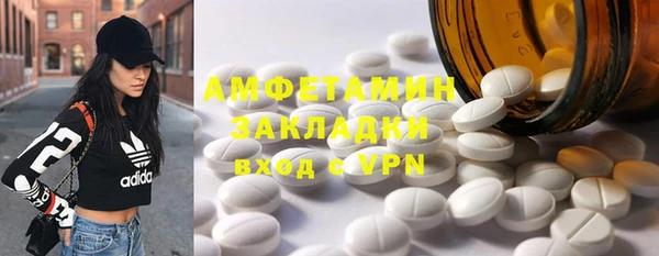 ГАЛЛЮЦИНОГЕННЫЕ ГРИБЫ Богданович